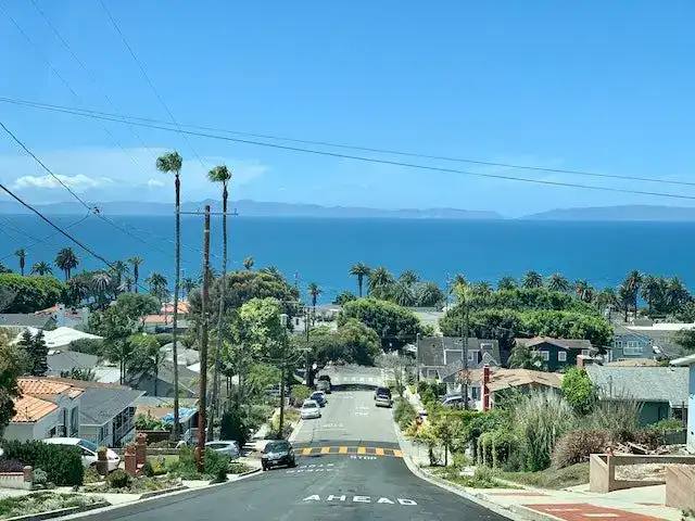 Hillside Southern California coastal neighborhood with homes, palm trees, and an ocean view