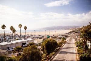 Aerial view of the Santa Monica beach and coastline with palm trees