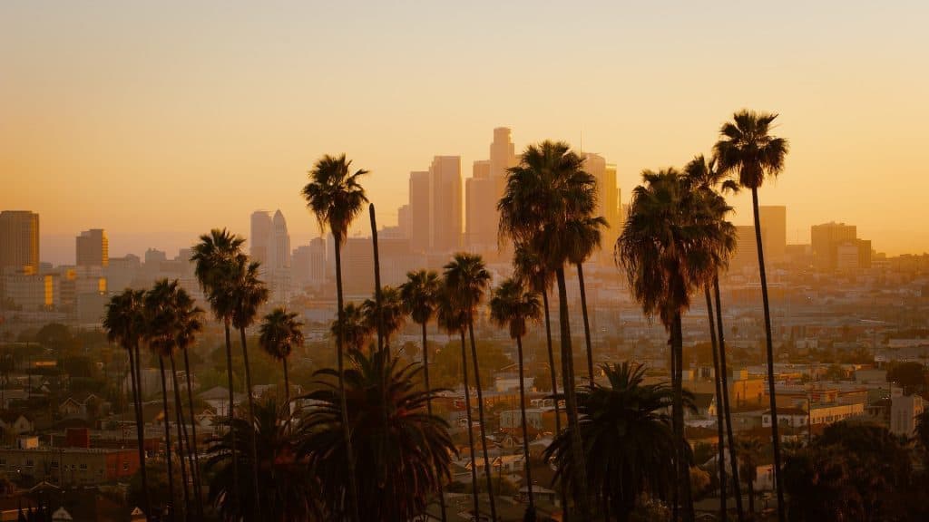 Palm trees silhouetted against the Los Angeles skyline at sunset