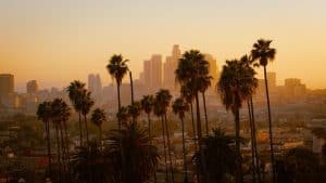 Palm trees silhouetted against the Los Angeles skyline at sunset